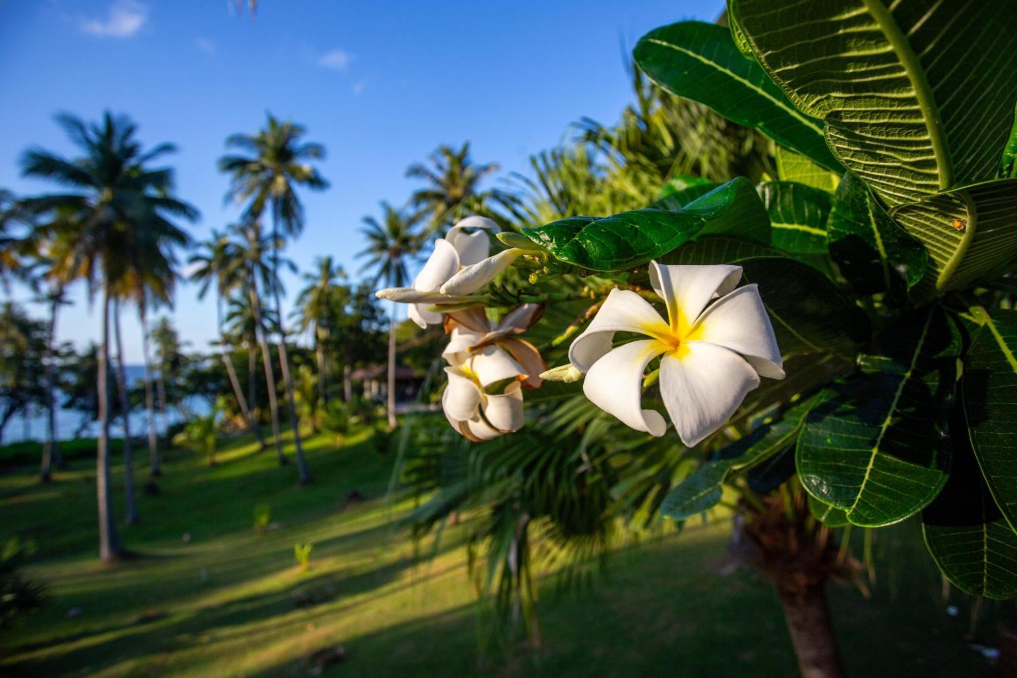 Ban Raya Resort And Spa Koh Racha Yai Ngoại thất bức ảnh