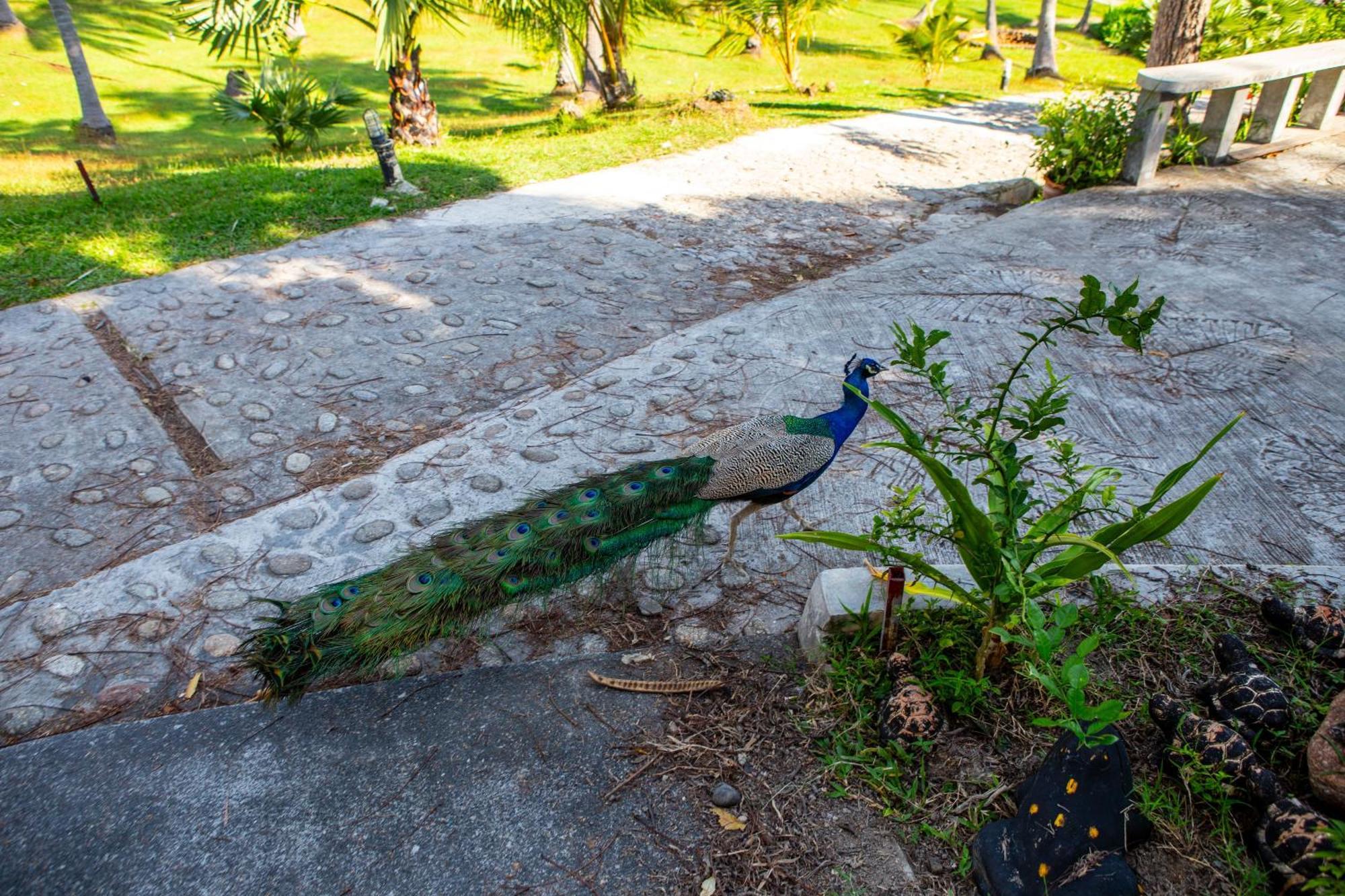 Ban Raya Resort And Spa Koh Racha Yai Ngoại thất bức ảnh